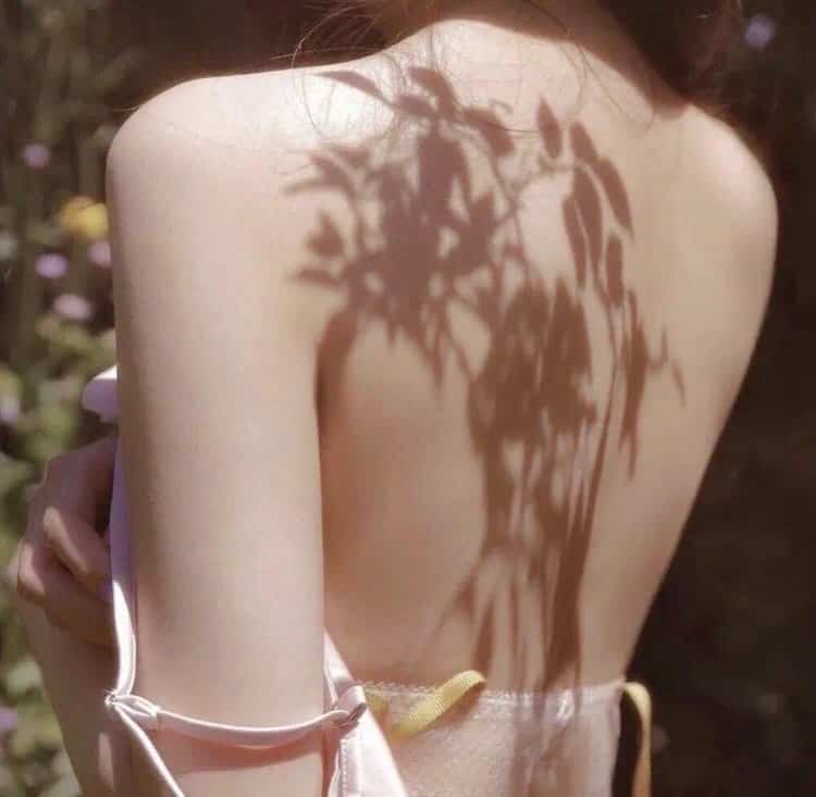 户外露营 野外生存技能分享